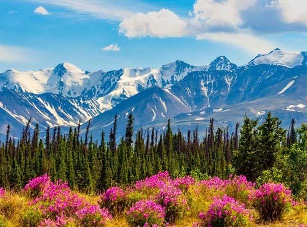 Yukon, image 1 of 1
