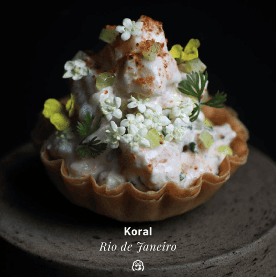 Koral, image 1 of 1
