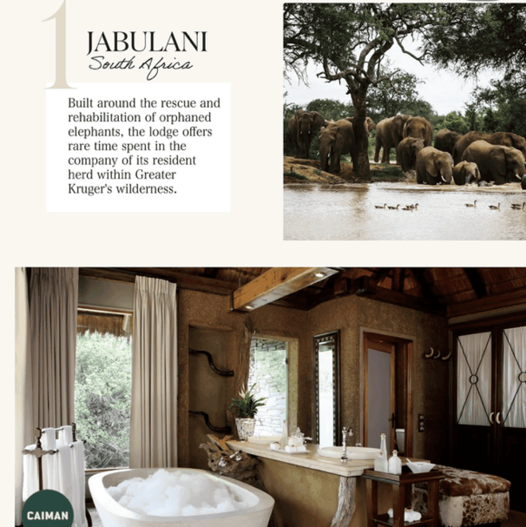 Jabulani, image 1 of 1