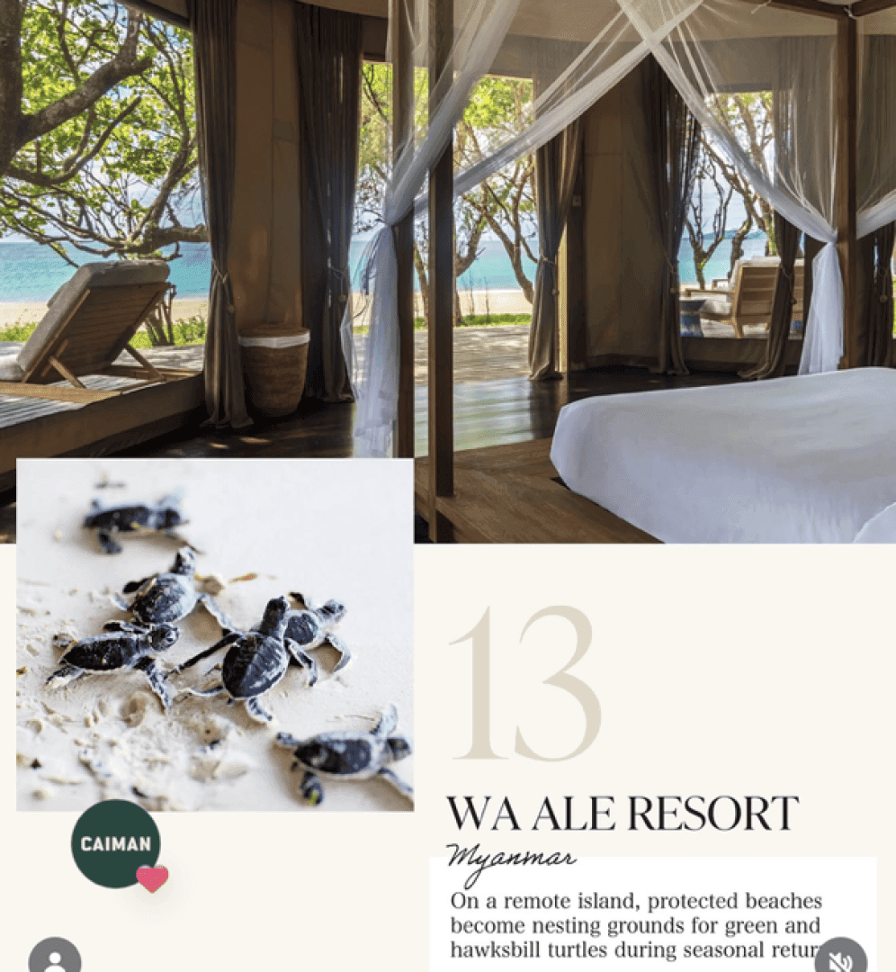 We Ale Resort, image 1 of 1