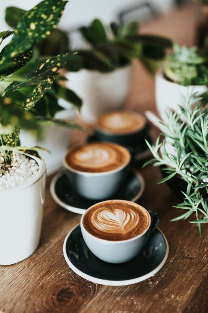 Café, image 1 of 1
