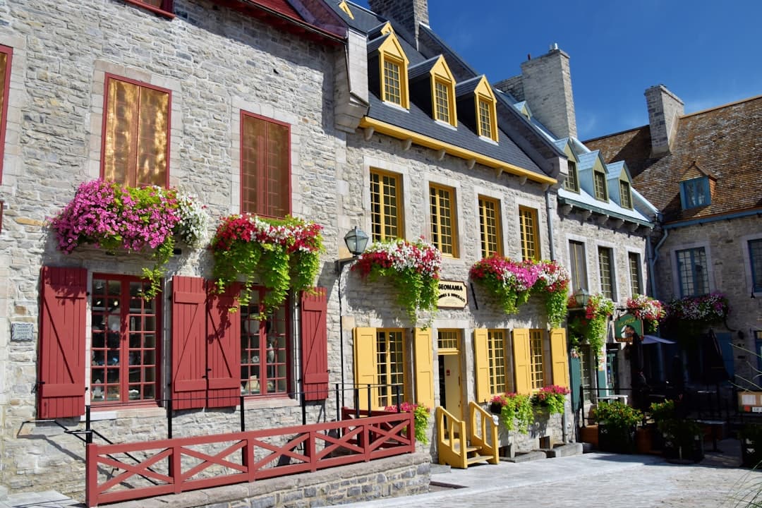 Place Royale, image 1 of 1