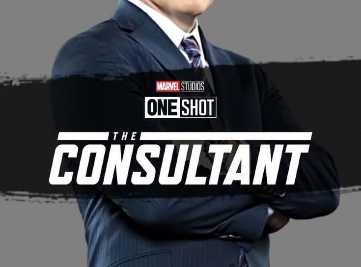 One Shot : Consultant - 2011, image 1 of 1