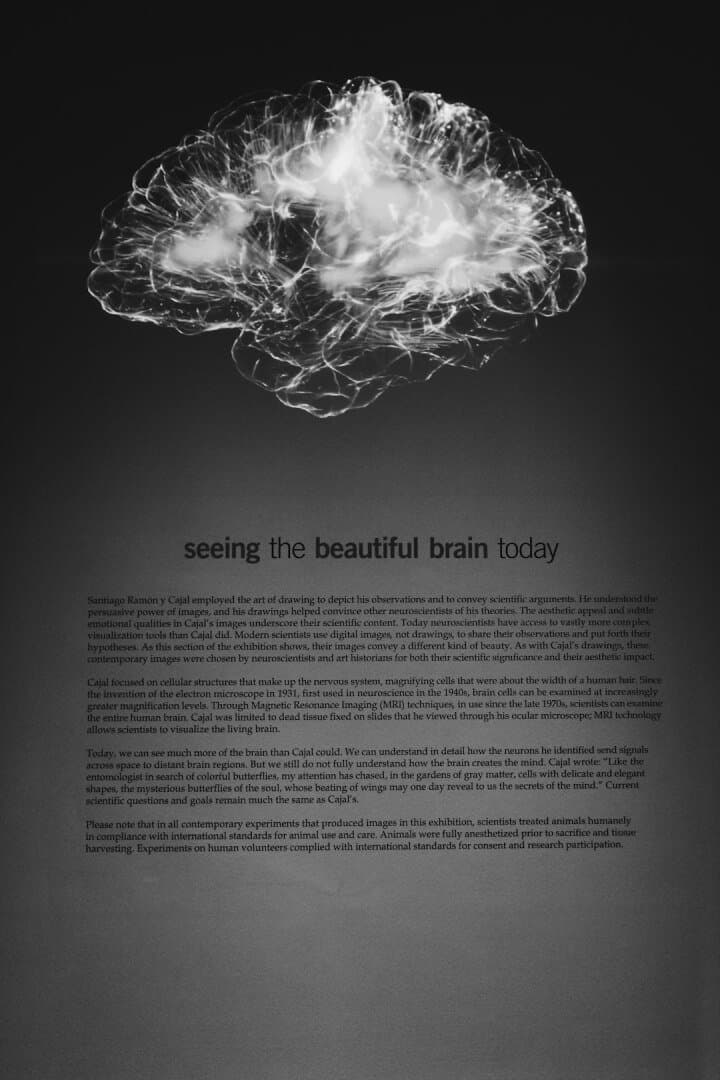 The Creative Brain, image 1 of 1