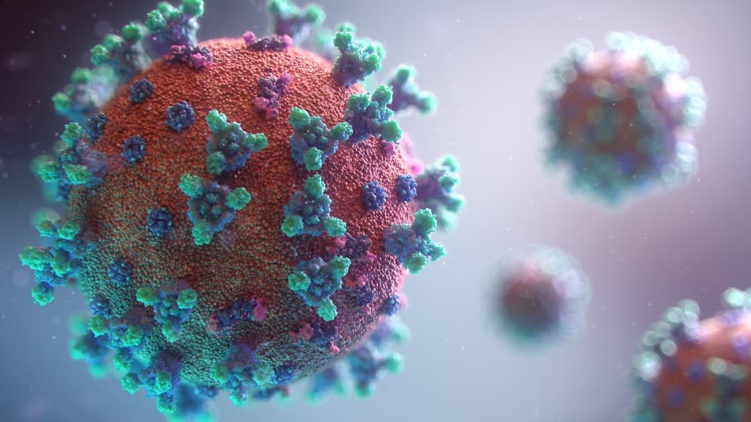 Roitt — Essential Immunology, image 1 of 1