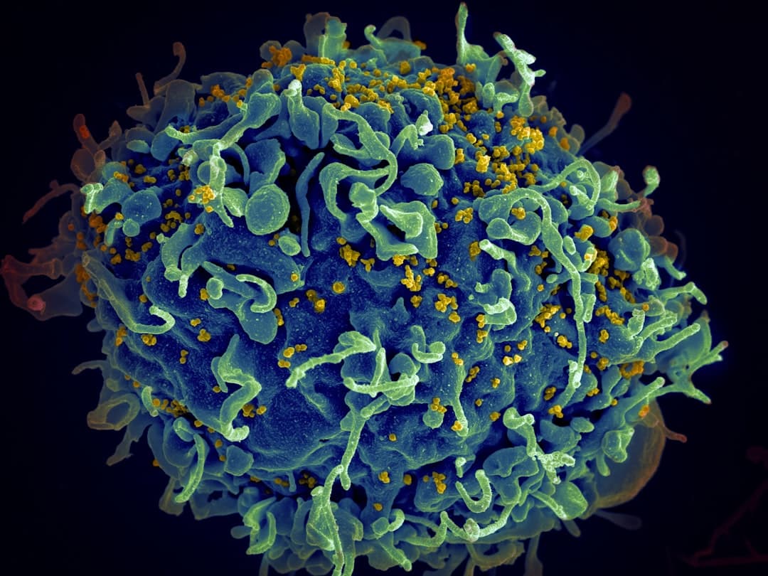 Clinical Immunology: Principles and Practice – Rich, image 1 of 1