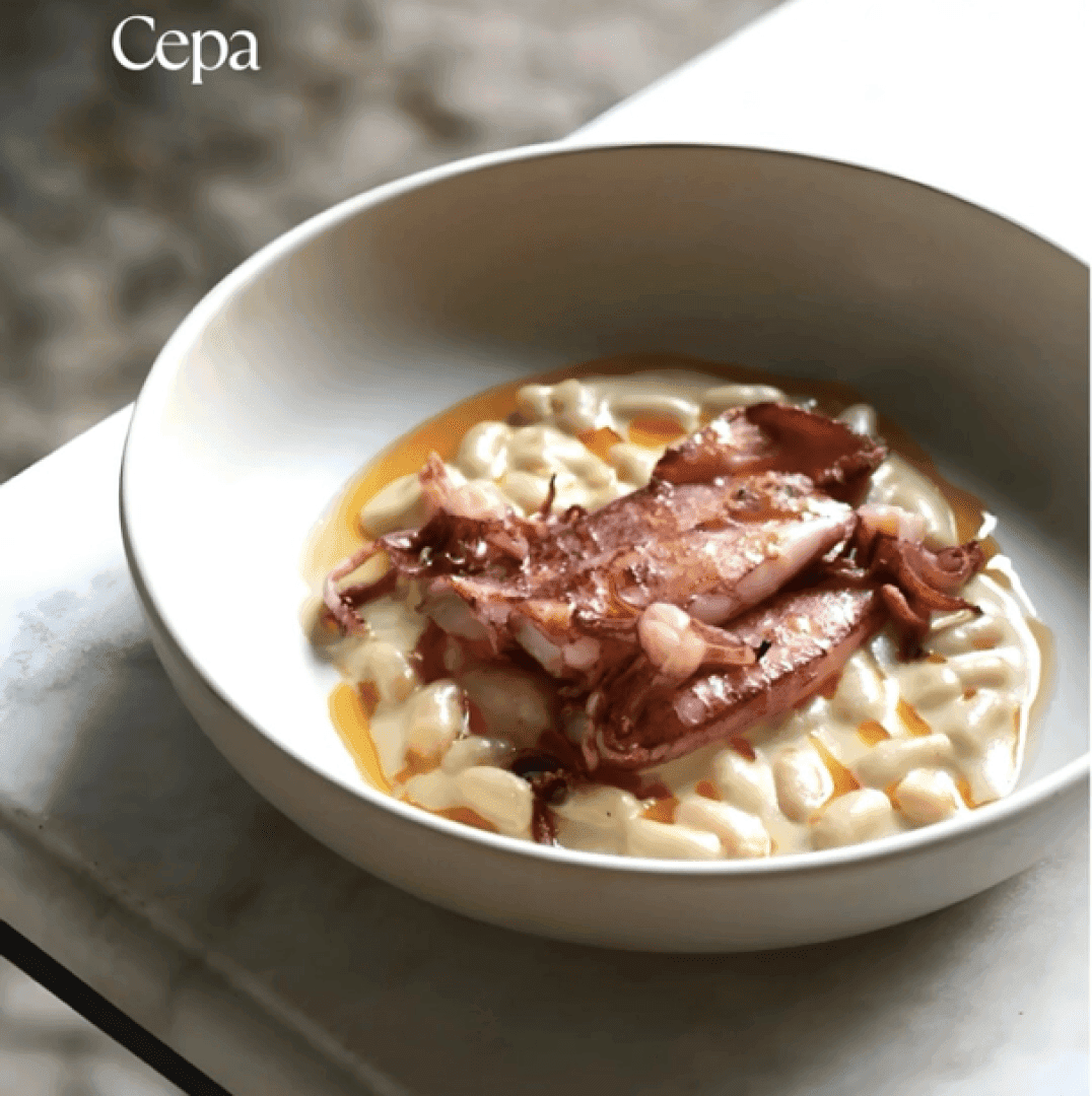 Cepa, image 1 of 1