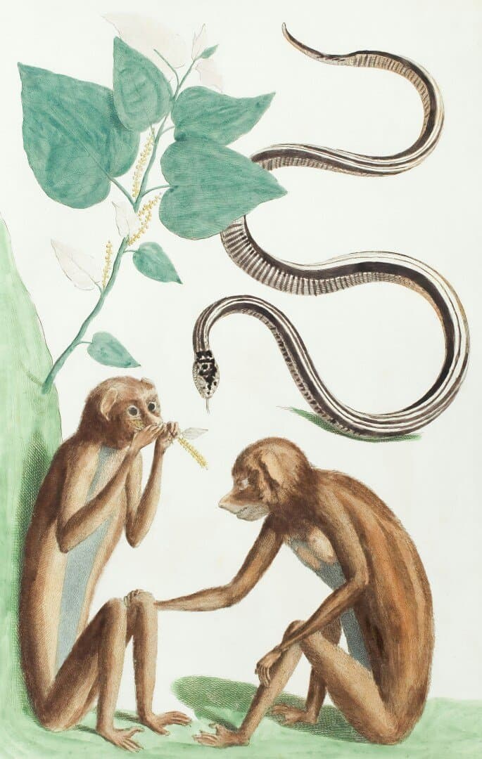 On the Origin of Species (selected chapters, academic reprint), image 1 of 1