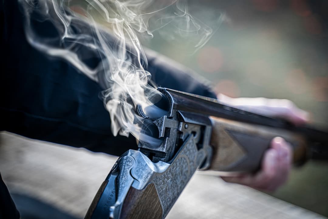 Beretta, image 1 of 1