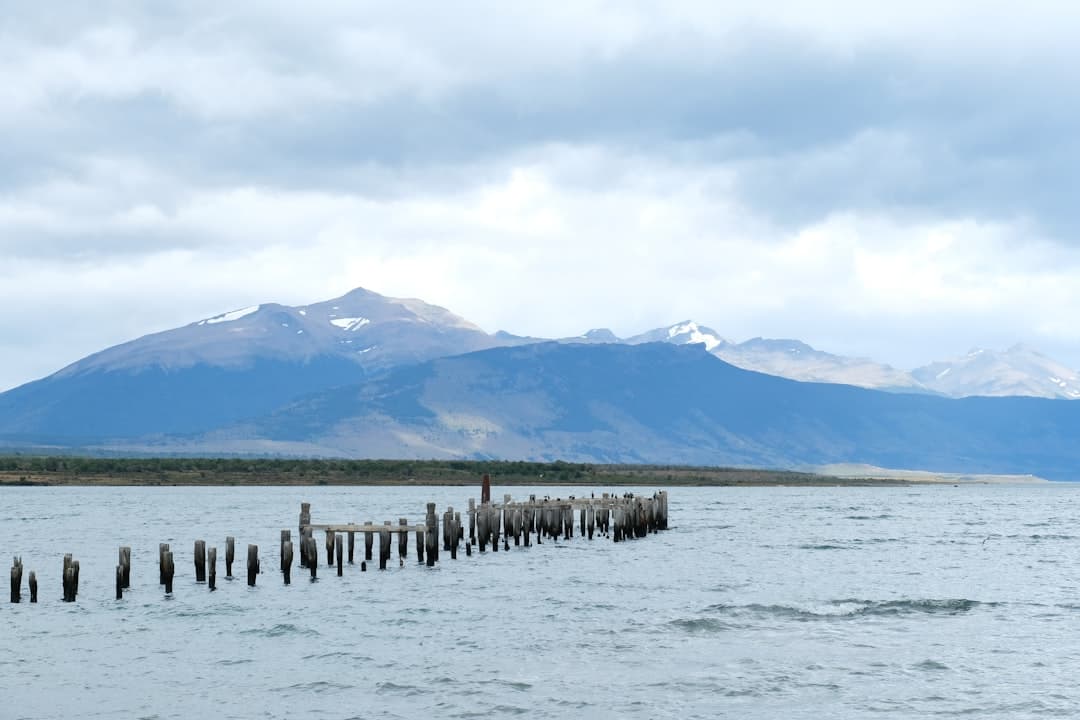 Puerto Natales, image 1 of 1