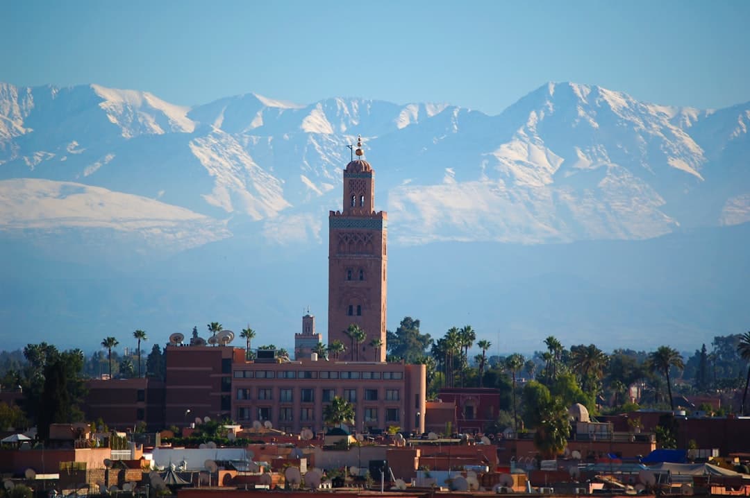 IZZA Marrakech, image 1 of 1
