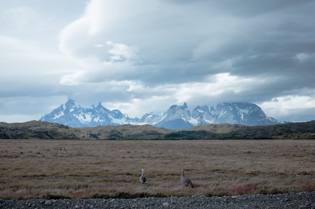 Awasi Patagonia, image 1 of 1