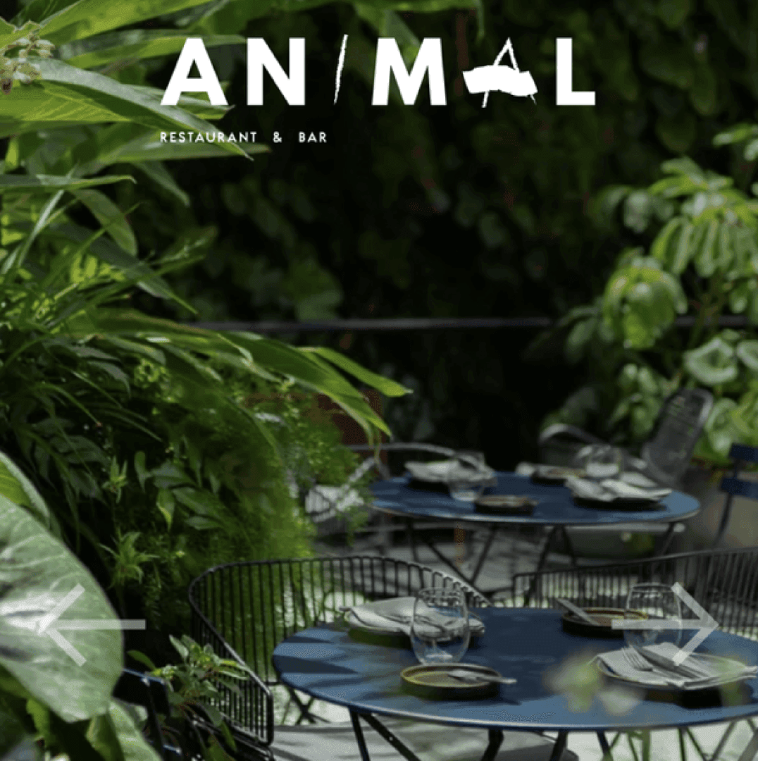 Animal Lisboa, image 1 of 1