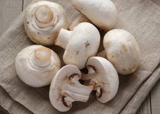 Mushrooms, image 1 of 1