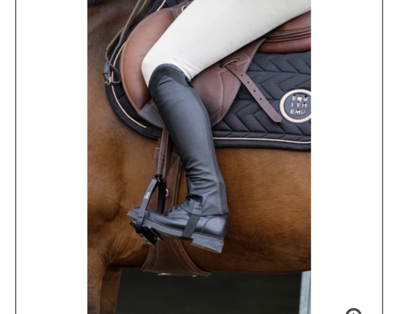 Chaps en cuir, image 1 of 1