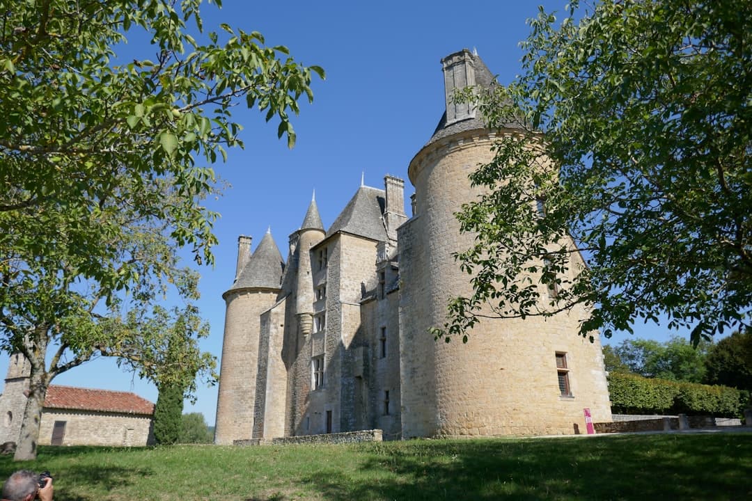 Amboise, image 1 of 1
