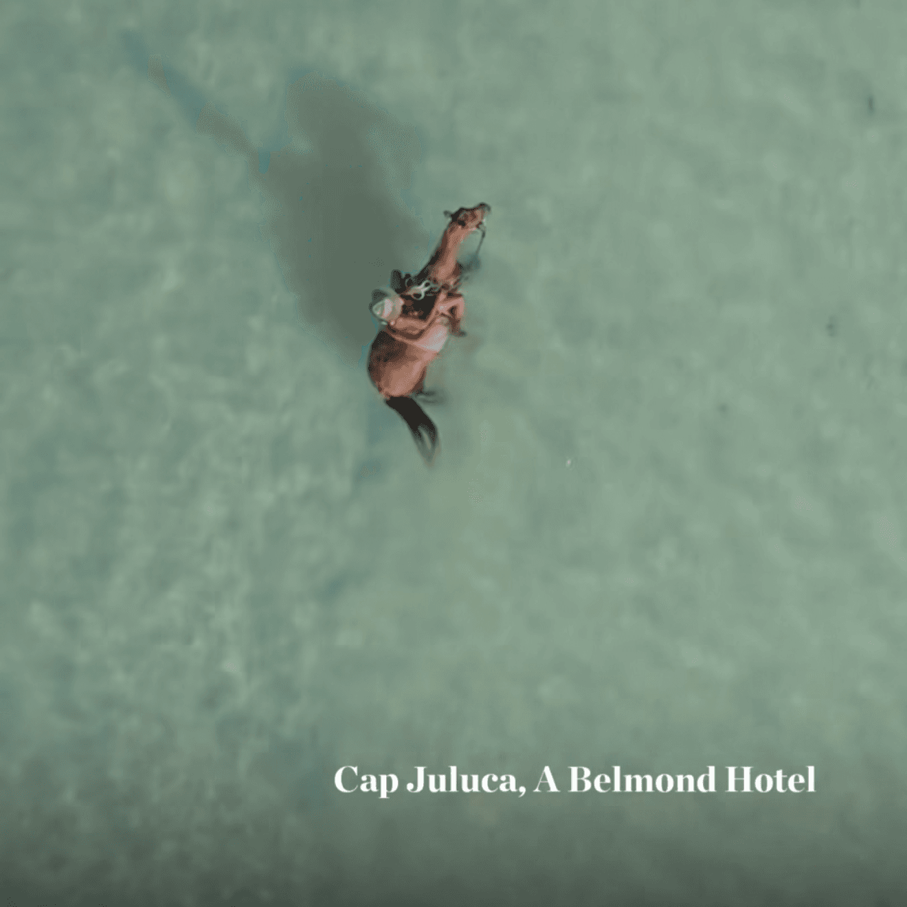 Cap Juluca, image 1 of 1