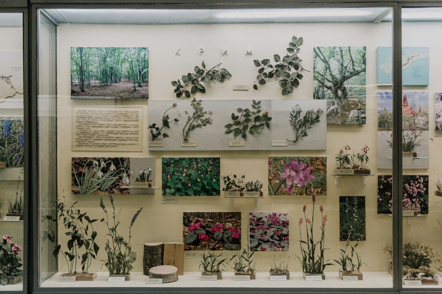 Harvard Museum of Natural History, image 1 of 1