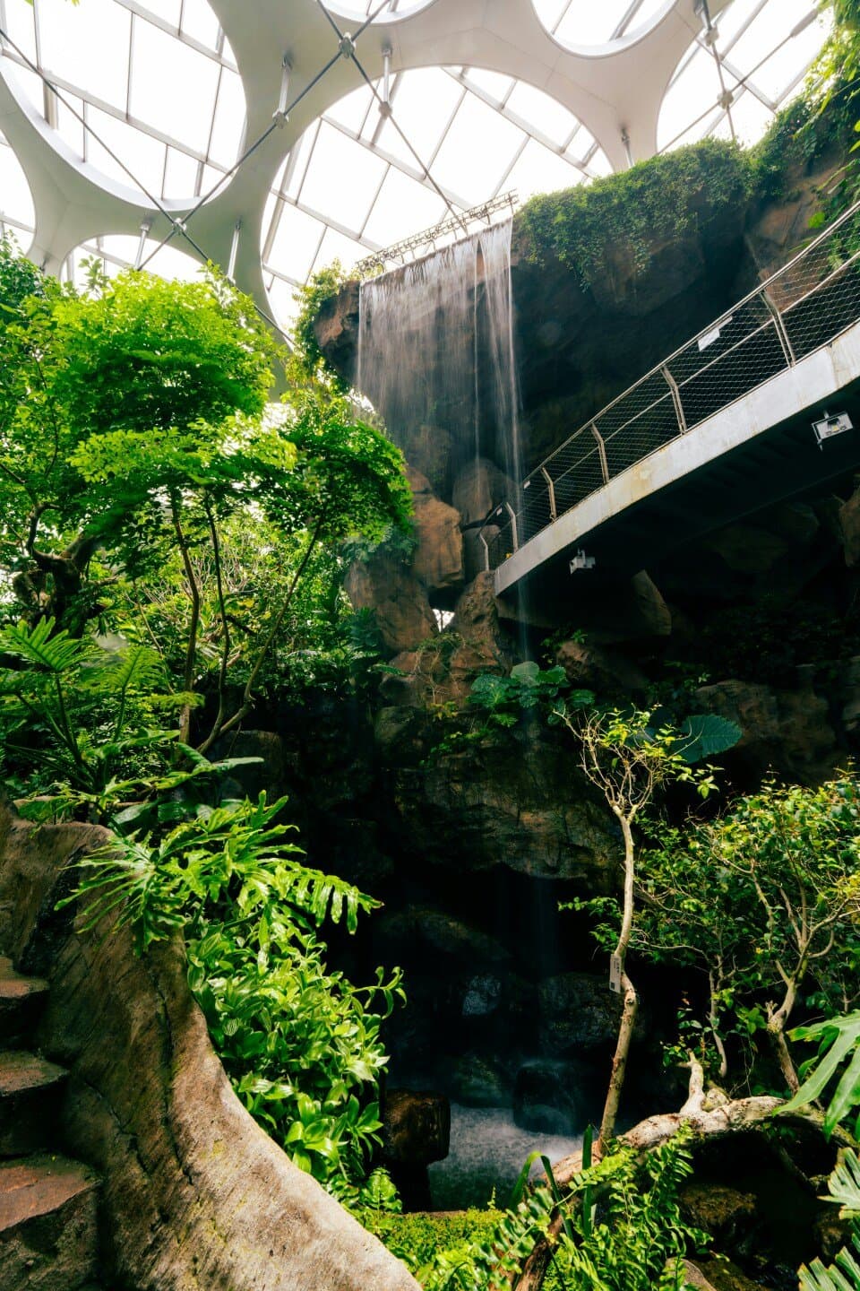 Rio Scenarium, image 1 of 1