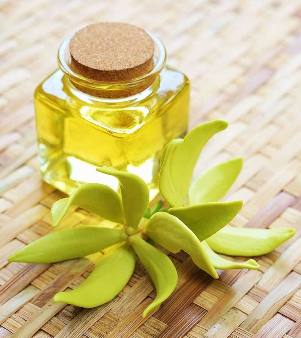 Ylang Ylang, image 1 of 1