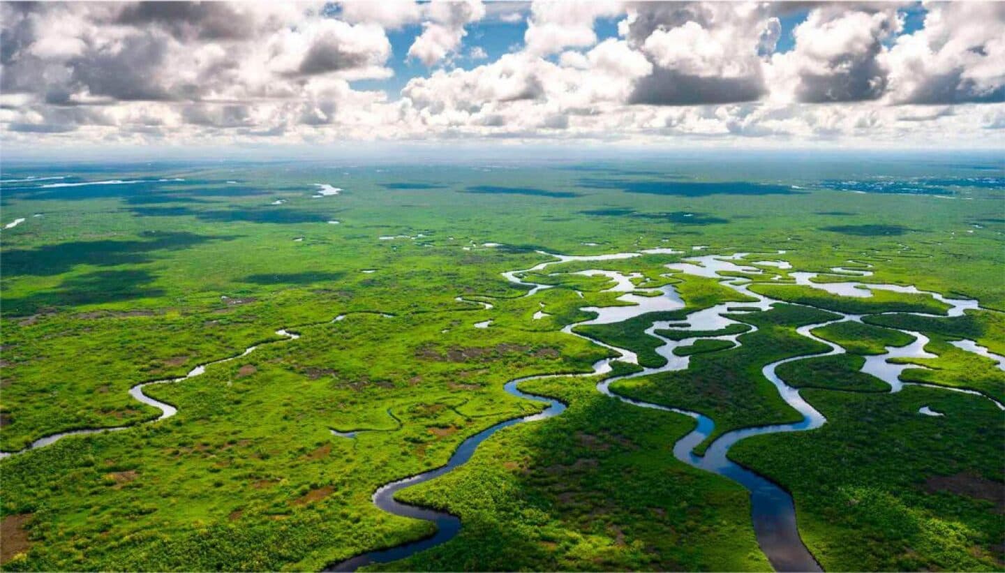 Everglades, image 1 of 1