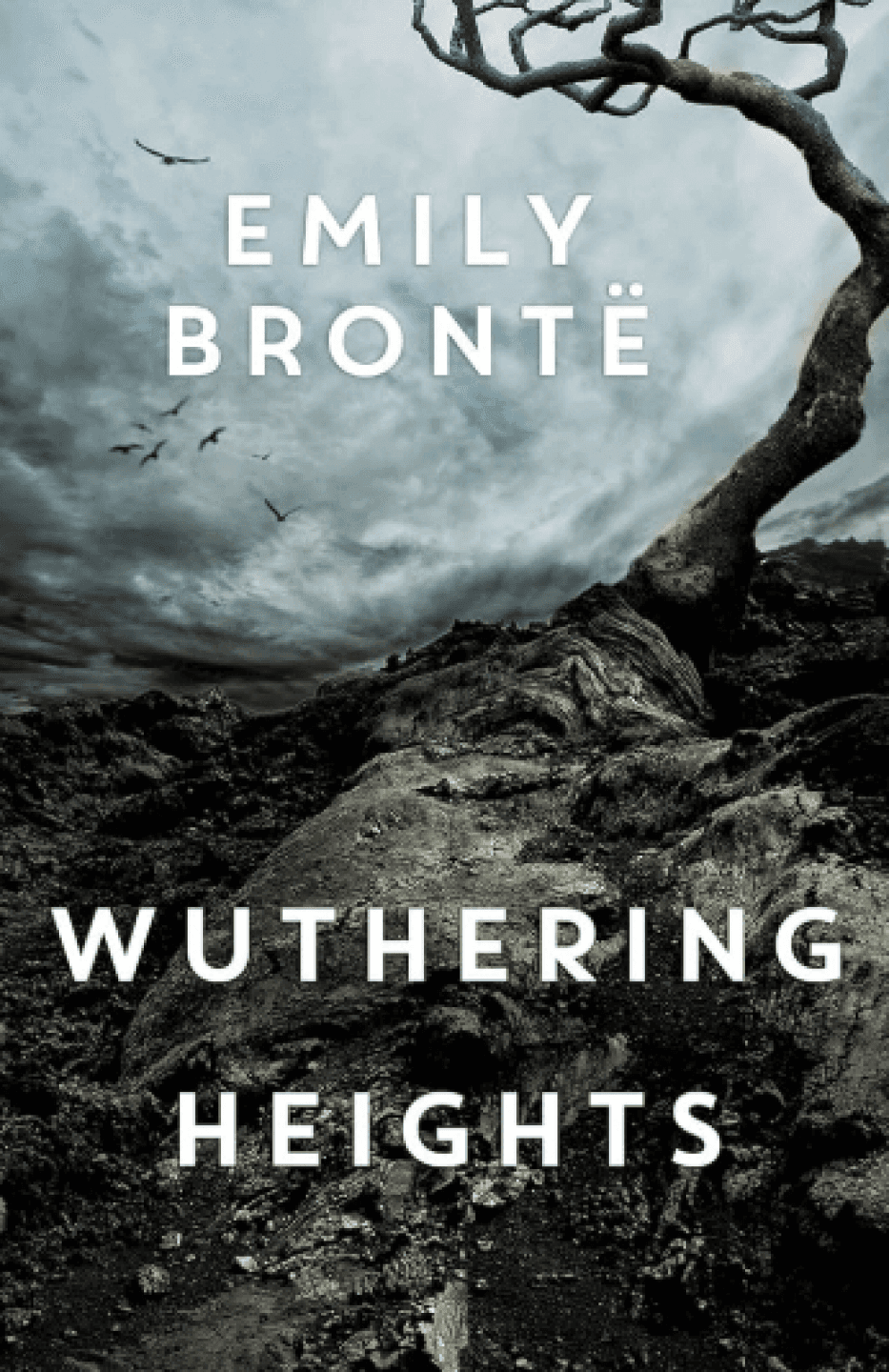 Wuthering Heights, image 1 of 1