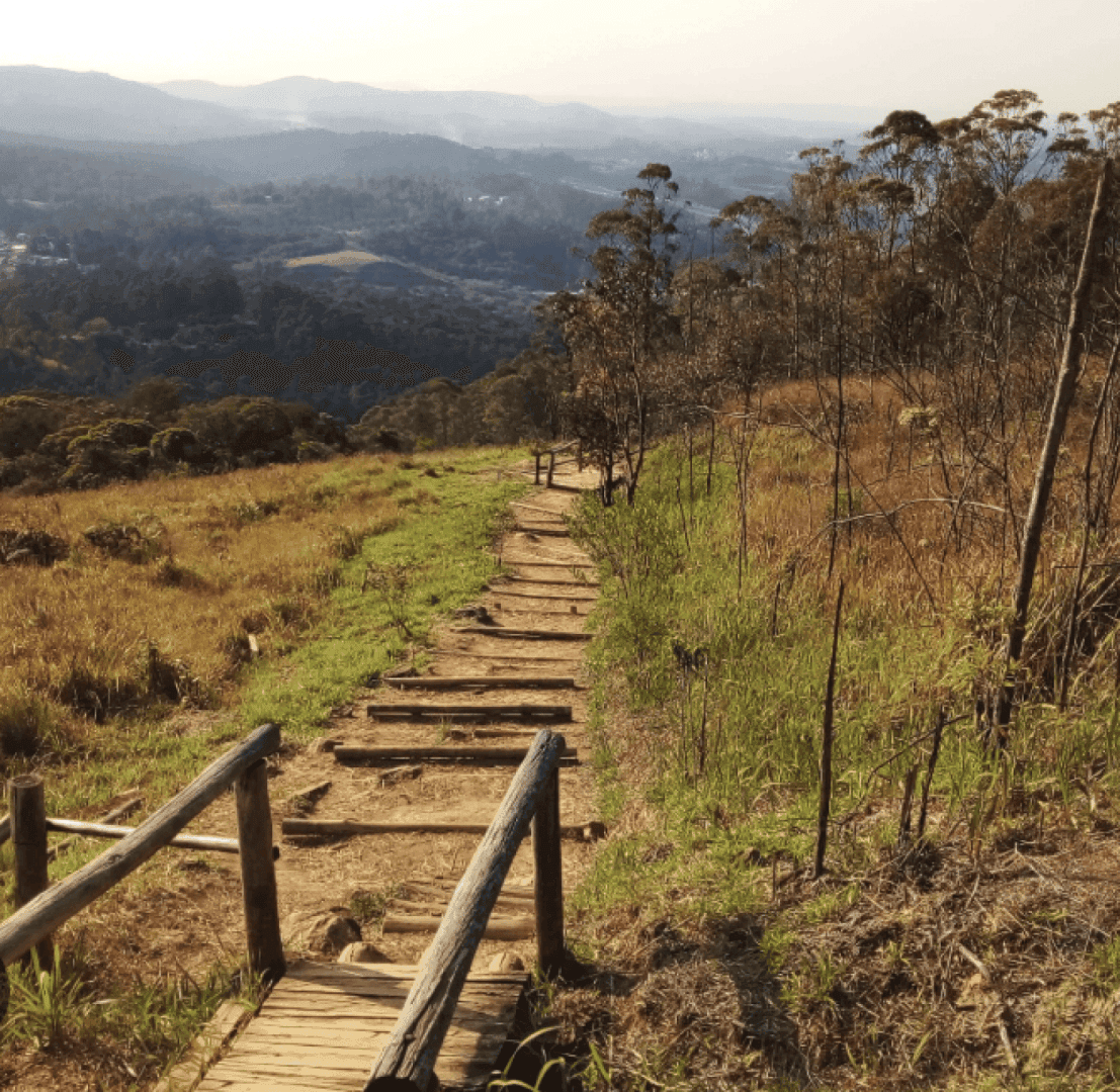 Pai Zé Trail, image 1 of 1