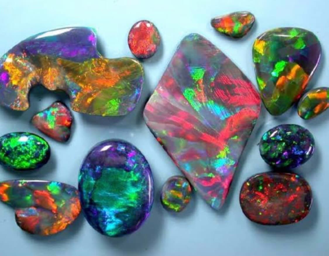 Opalas Australiana, image 1 of 1