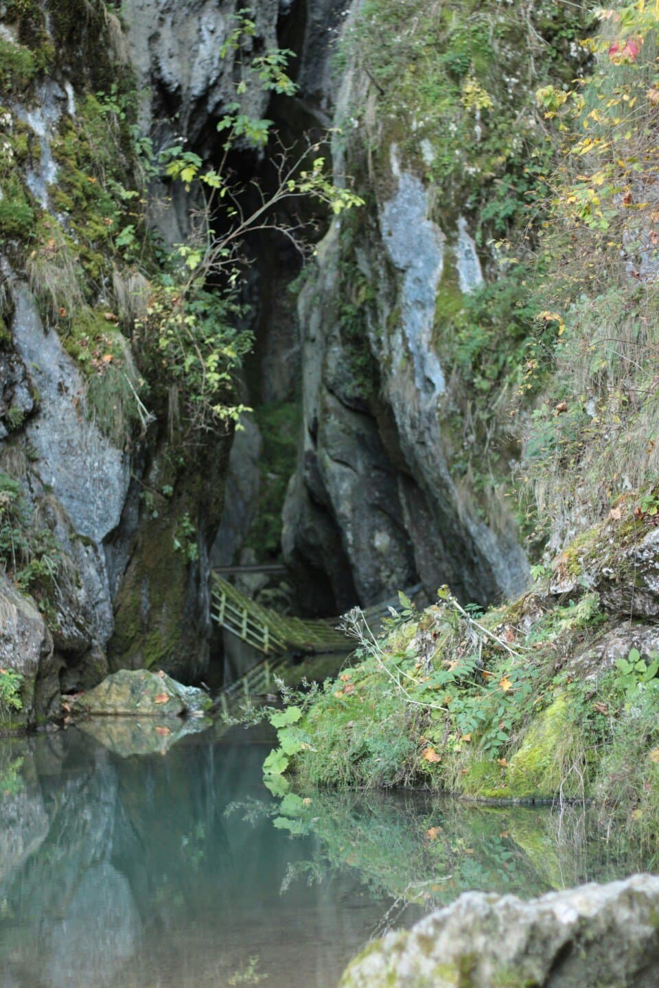 Ôcave, image 1 of 1