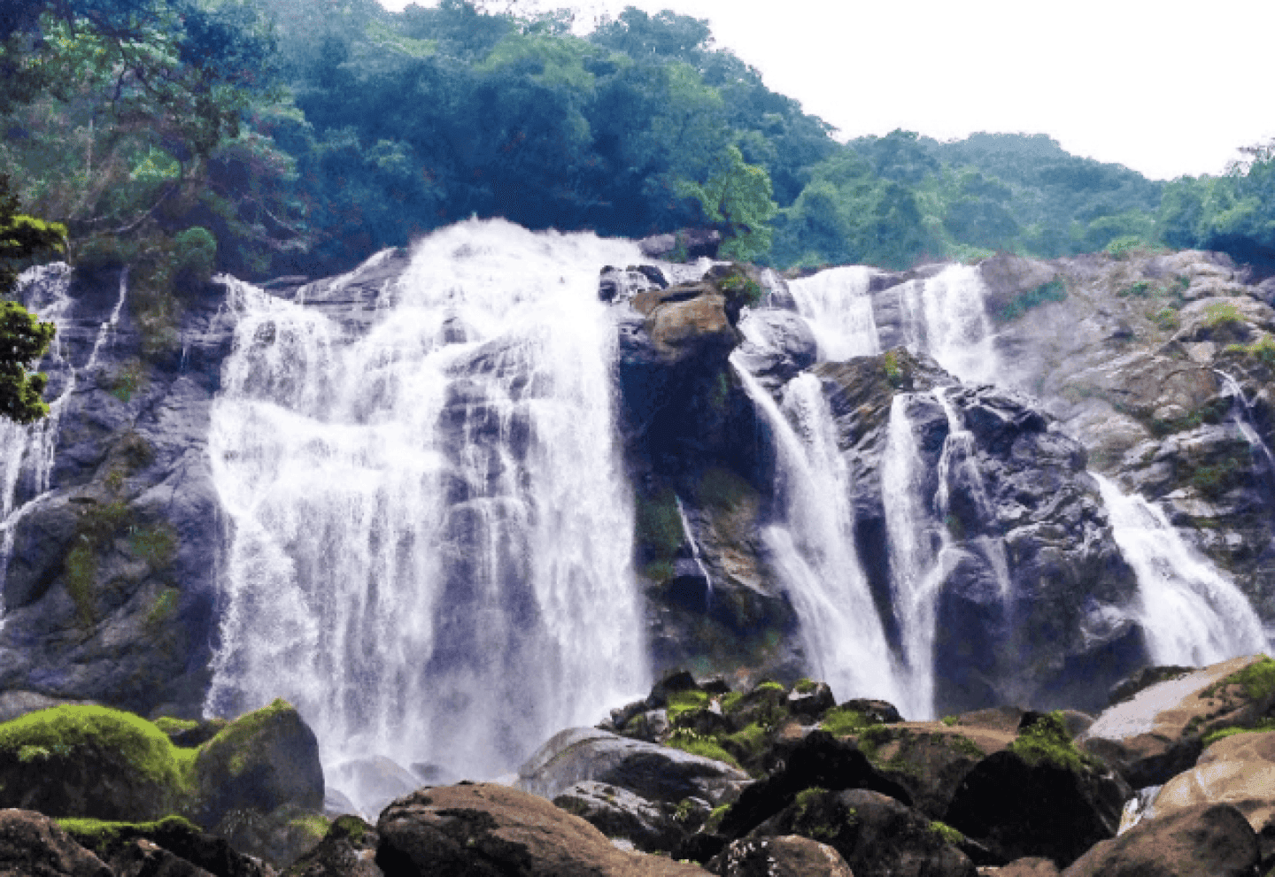 Elephant Waterfall, image 1 of 1