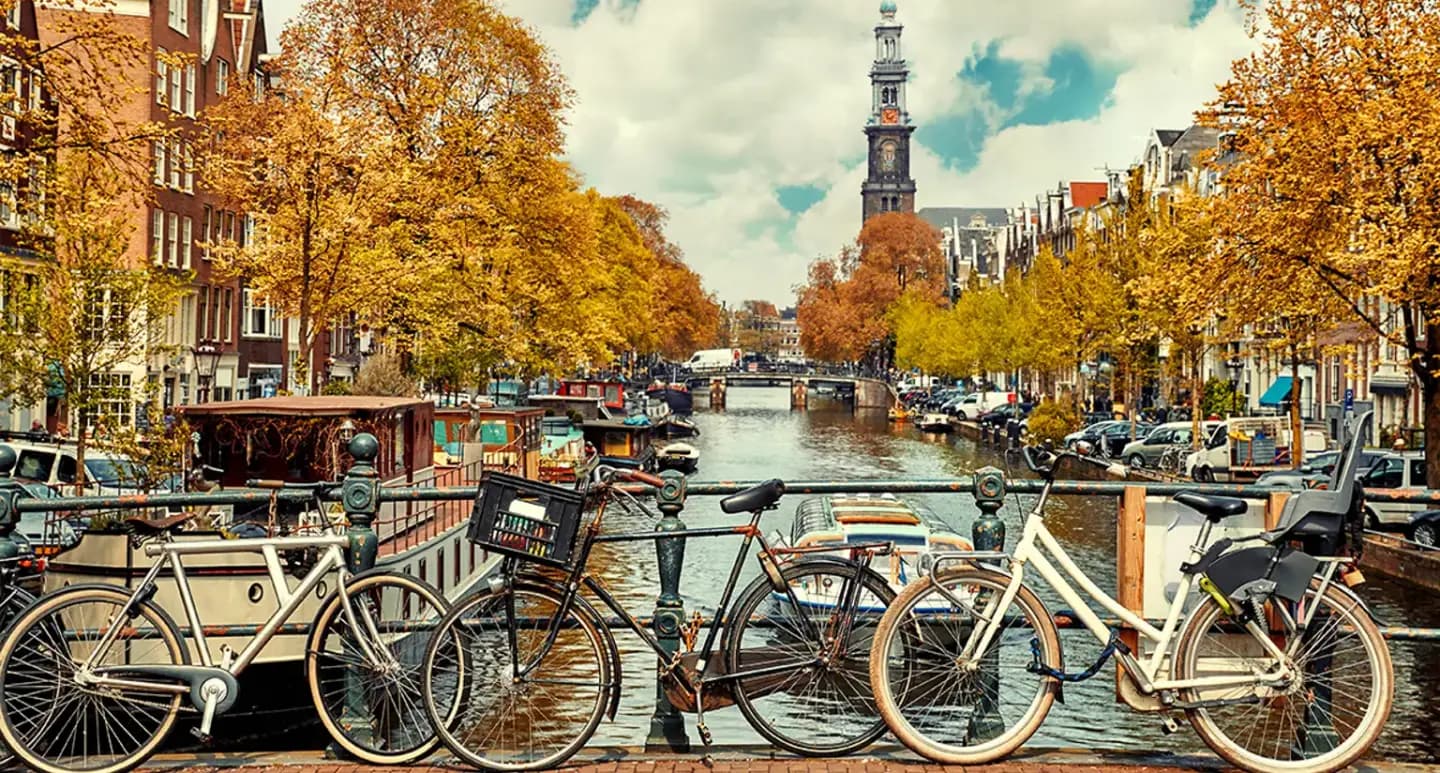 Rent a bicycle, image 1 of 1