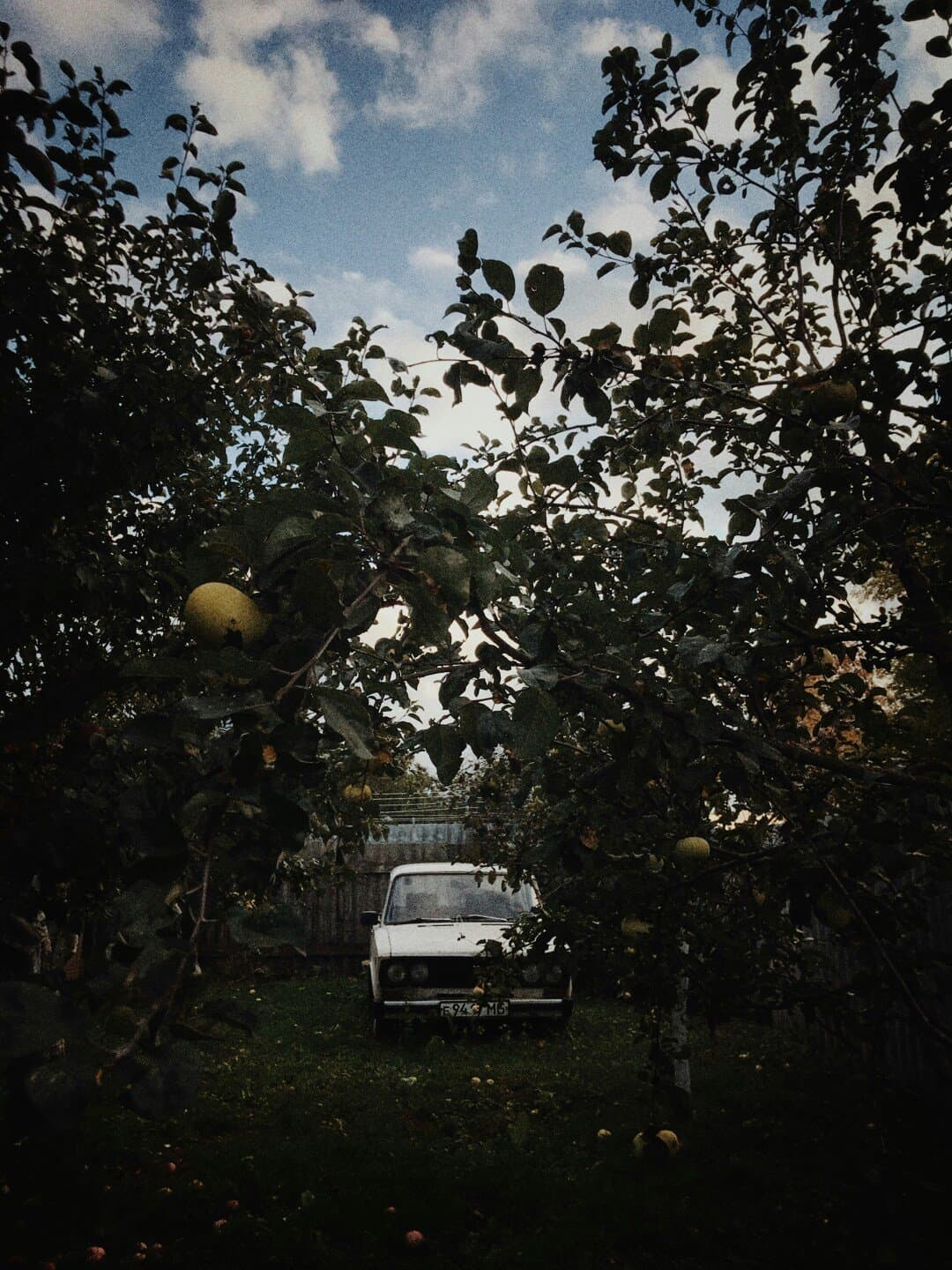 Driving Over Lemons, image 1 of 1