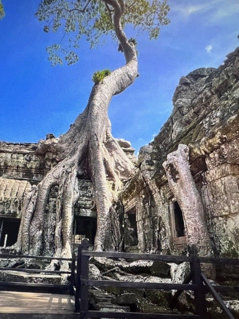 Templo de Ta Prohm, image 1 of 1