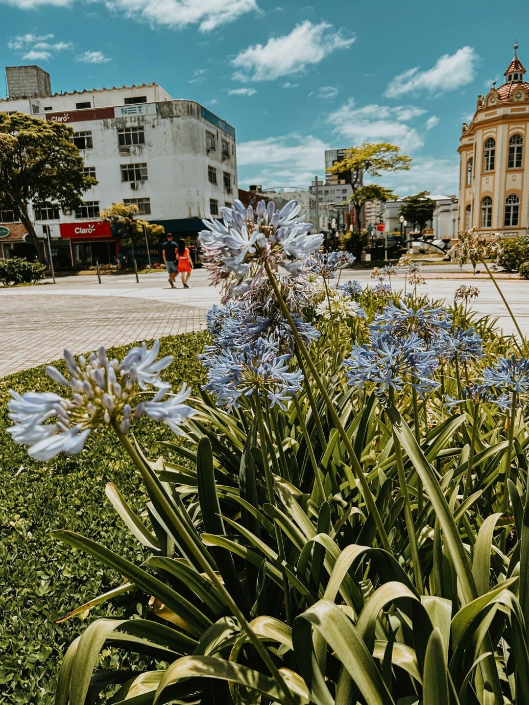 Sebo Rua das Flores, image 1 of 1