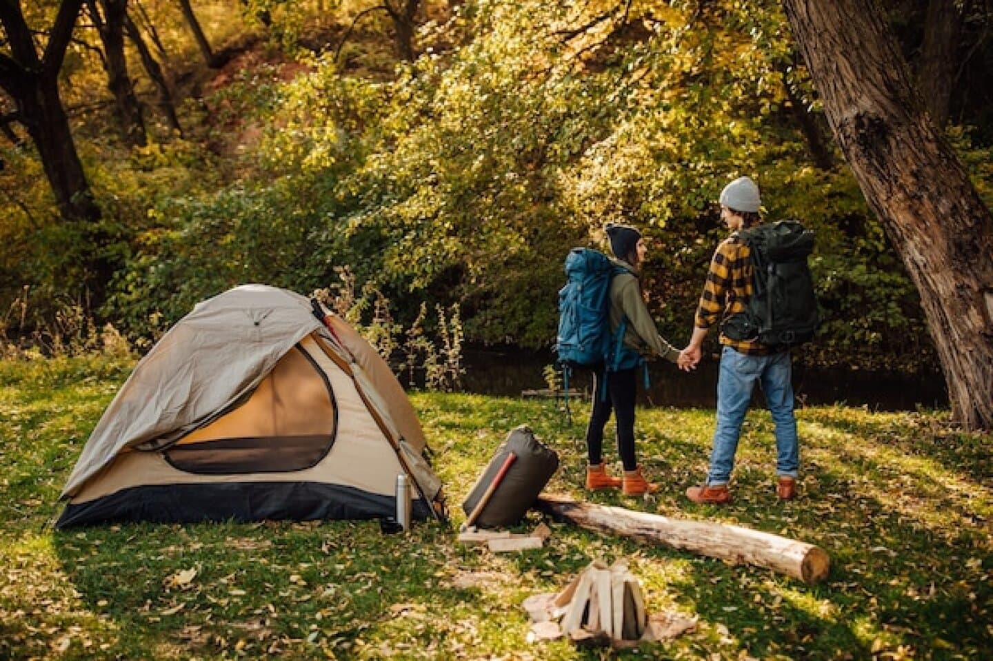 Choose Eco-Friendly Accommodations, image 1 of 1