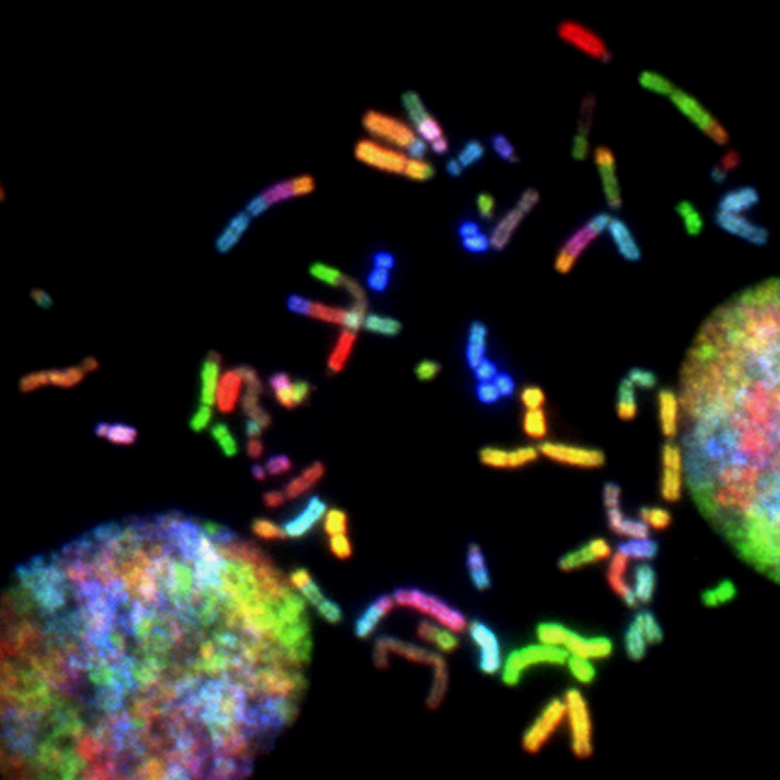A Programmable Dual-RNA–Guided DNA Endonuclease in Adaptive Bacterial Immunity, image 1 of 1