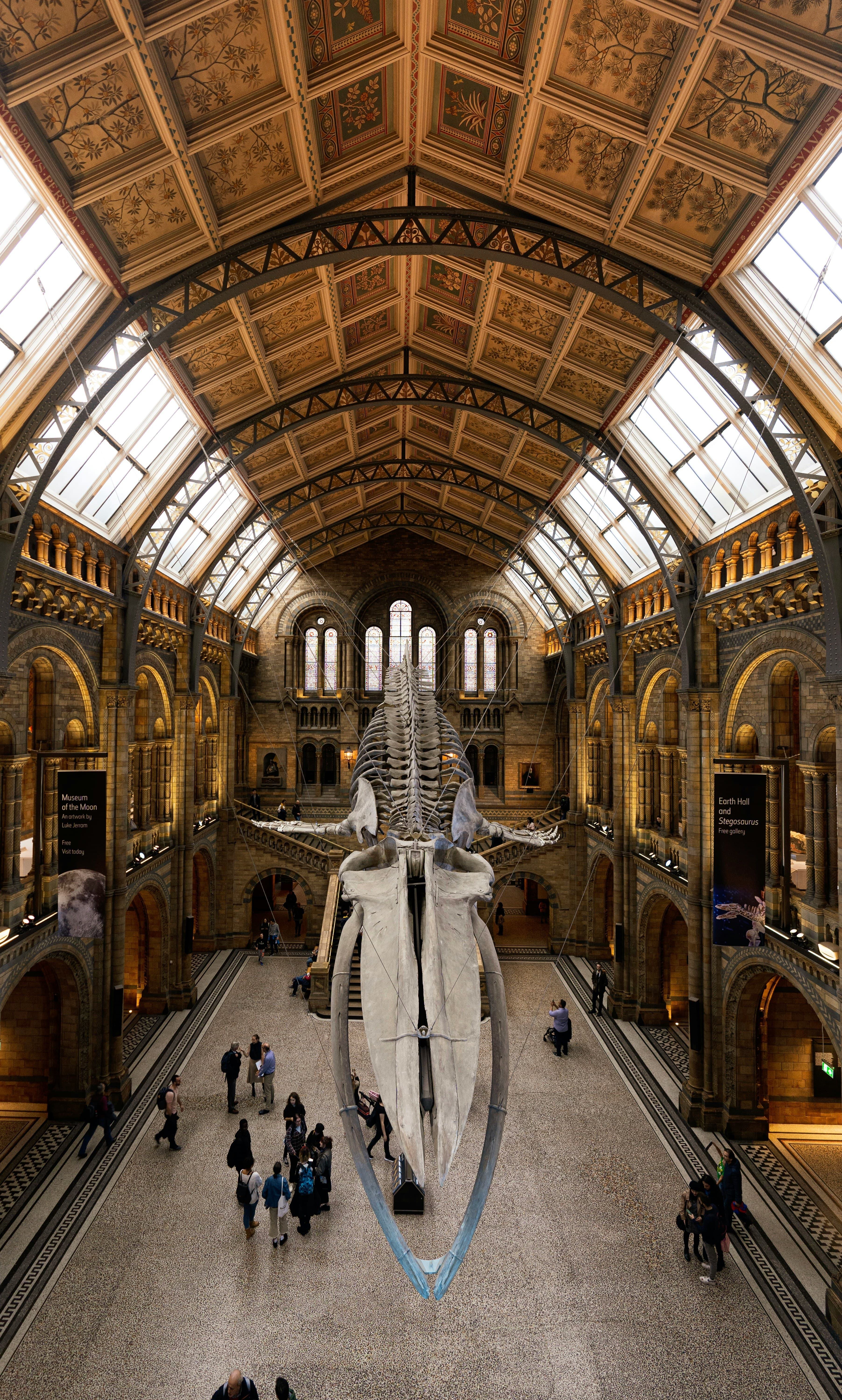 Science Museum Medicine Galleries, image 1 of 1