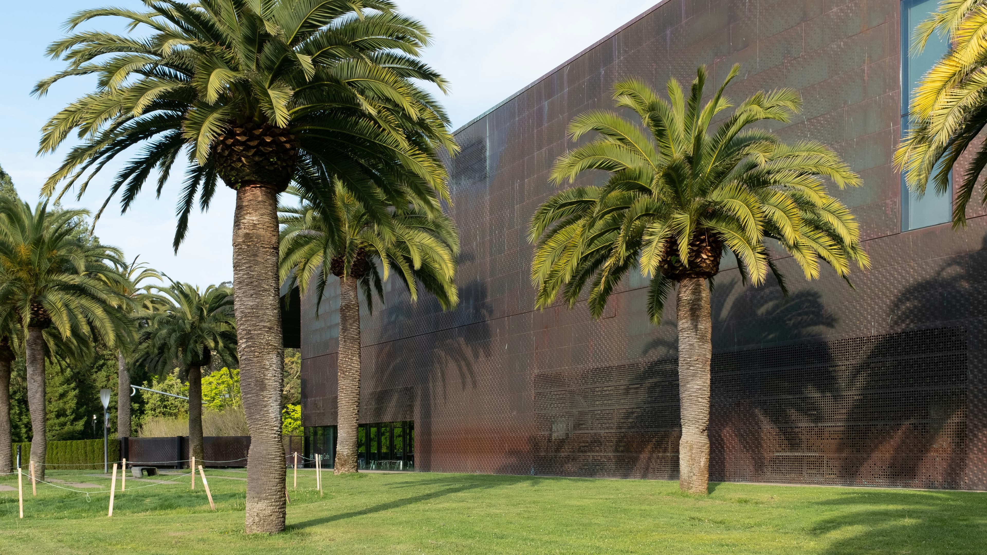De Young Museum, image 1 of 1