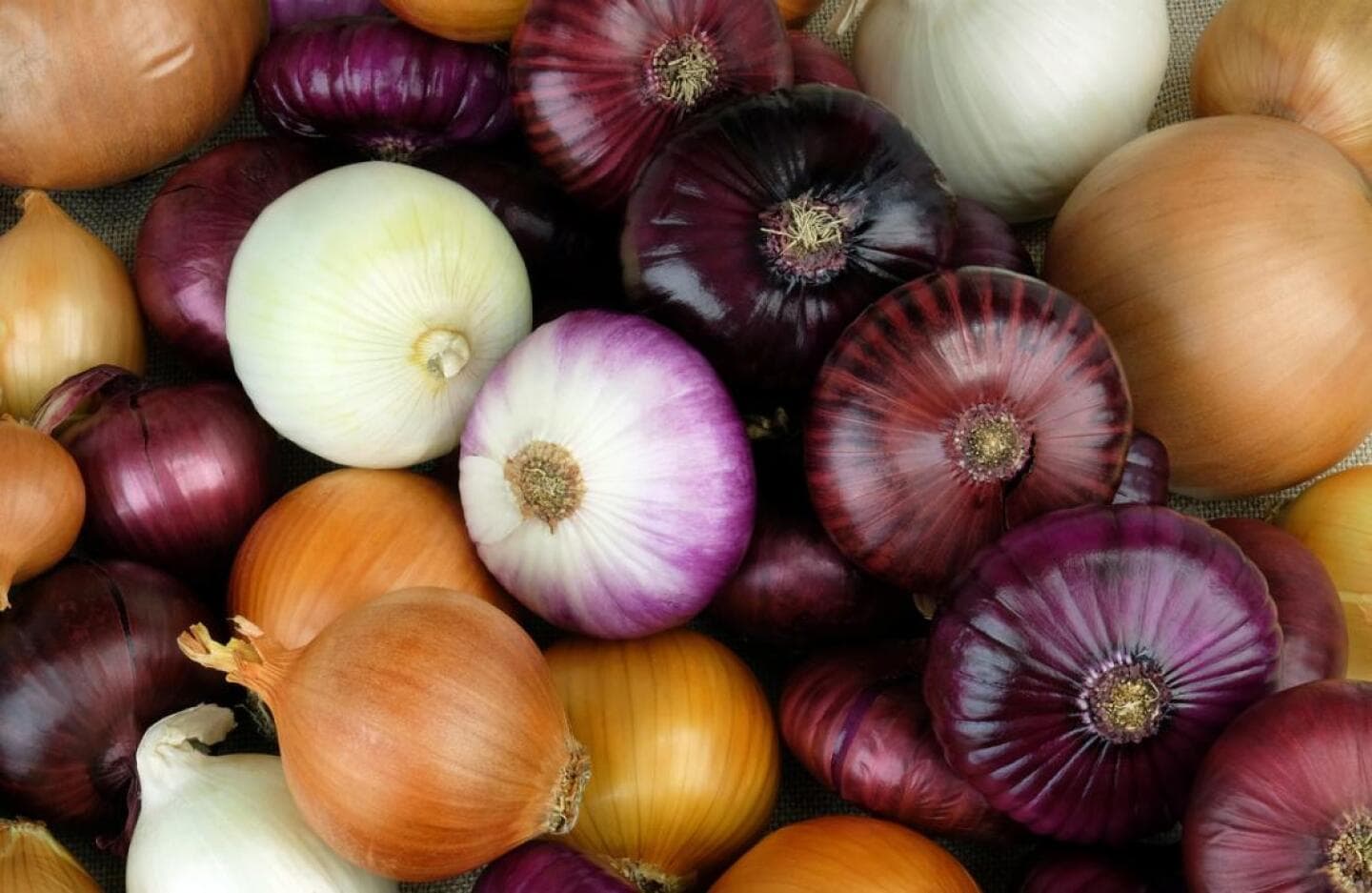 Onions, image 1 of 1