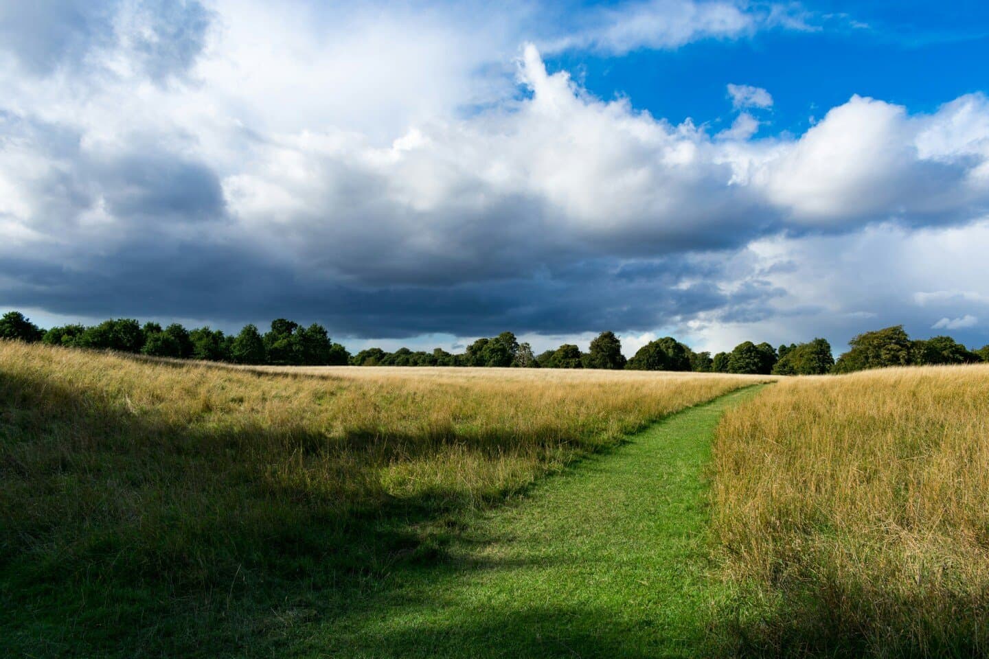 Phoenix Park Racecourse grounds, image 1 of 1