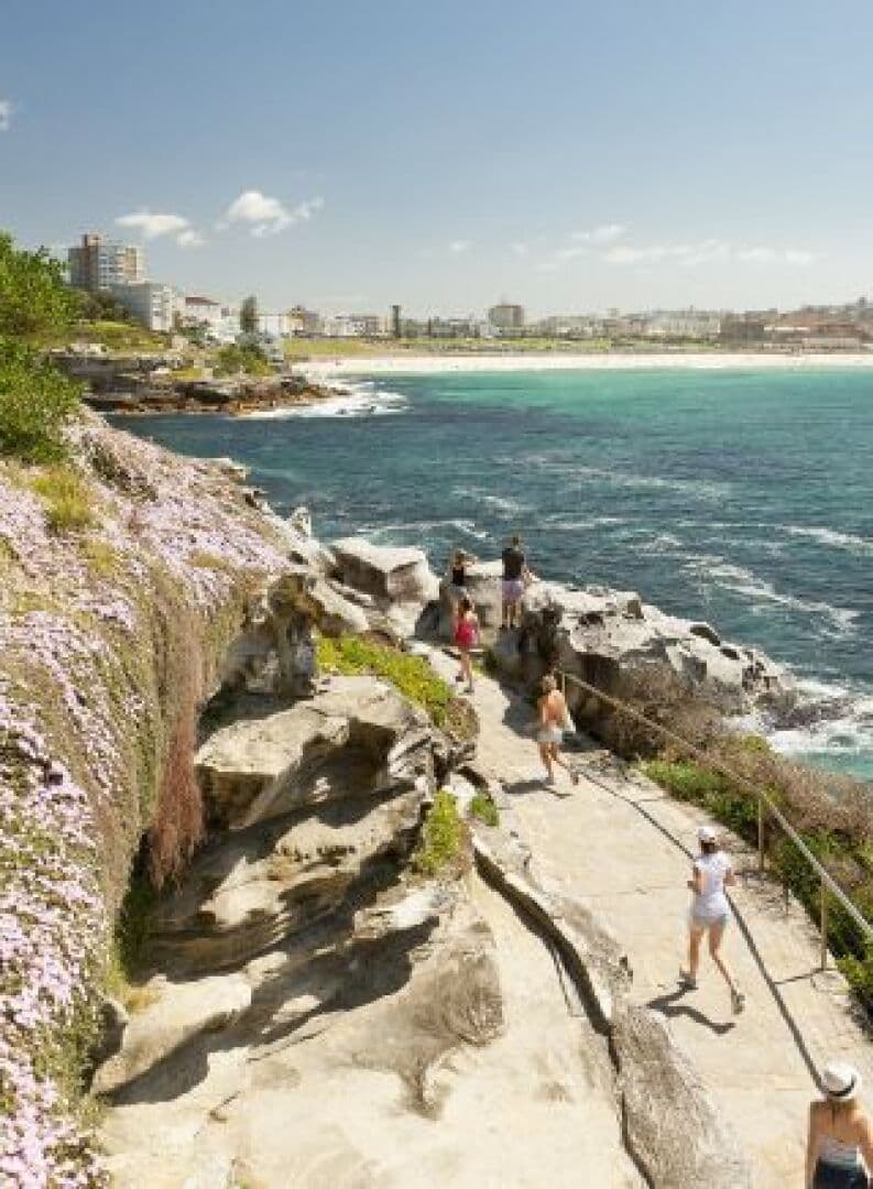 Bondi to Coogee Coastal Walk, image 1 of 1