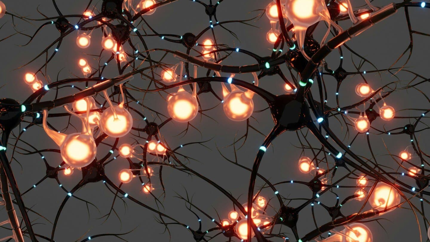 Random Forests, image 1 of 1