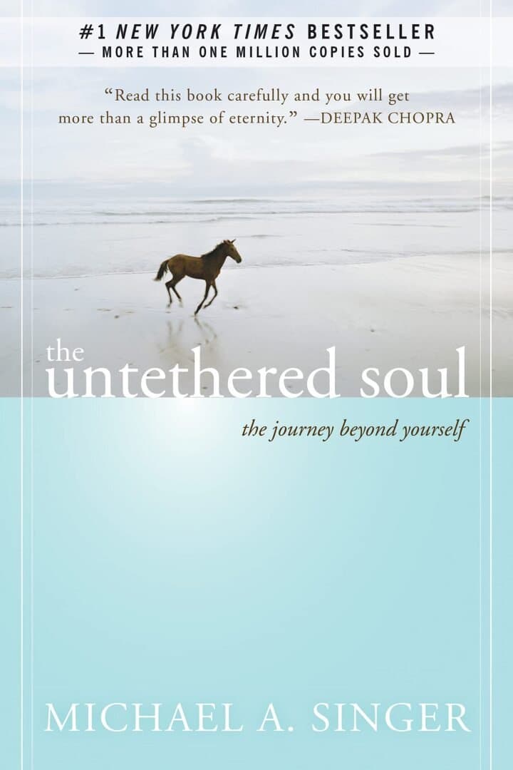 The Untethered Soul, image 1 of 1