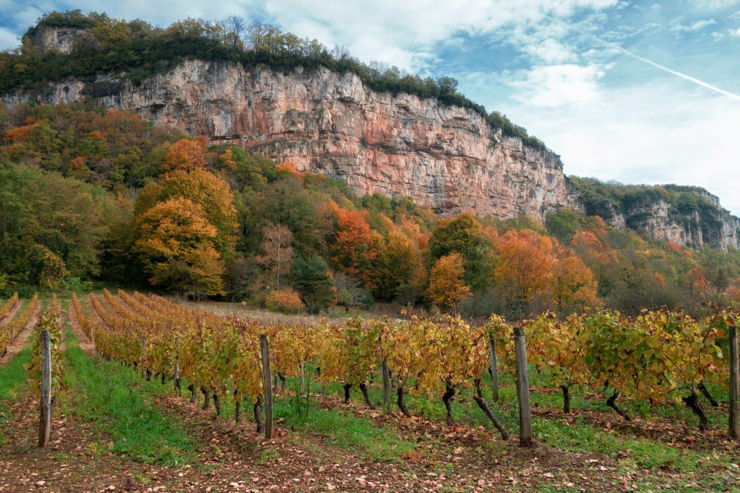 Les Caves de Reuilly, image 1 of 1
