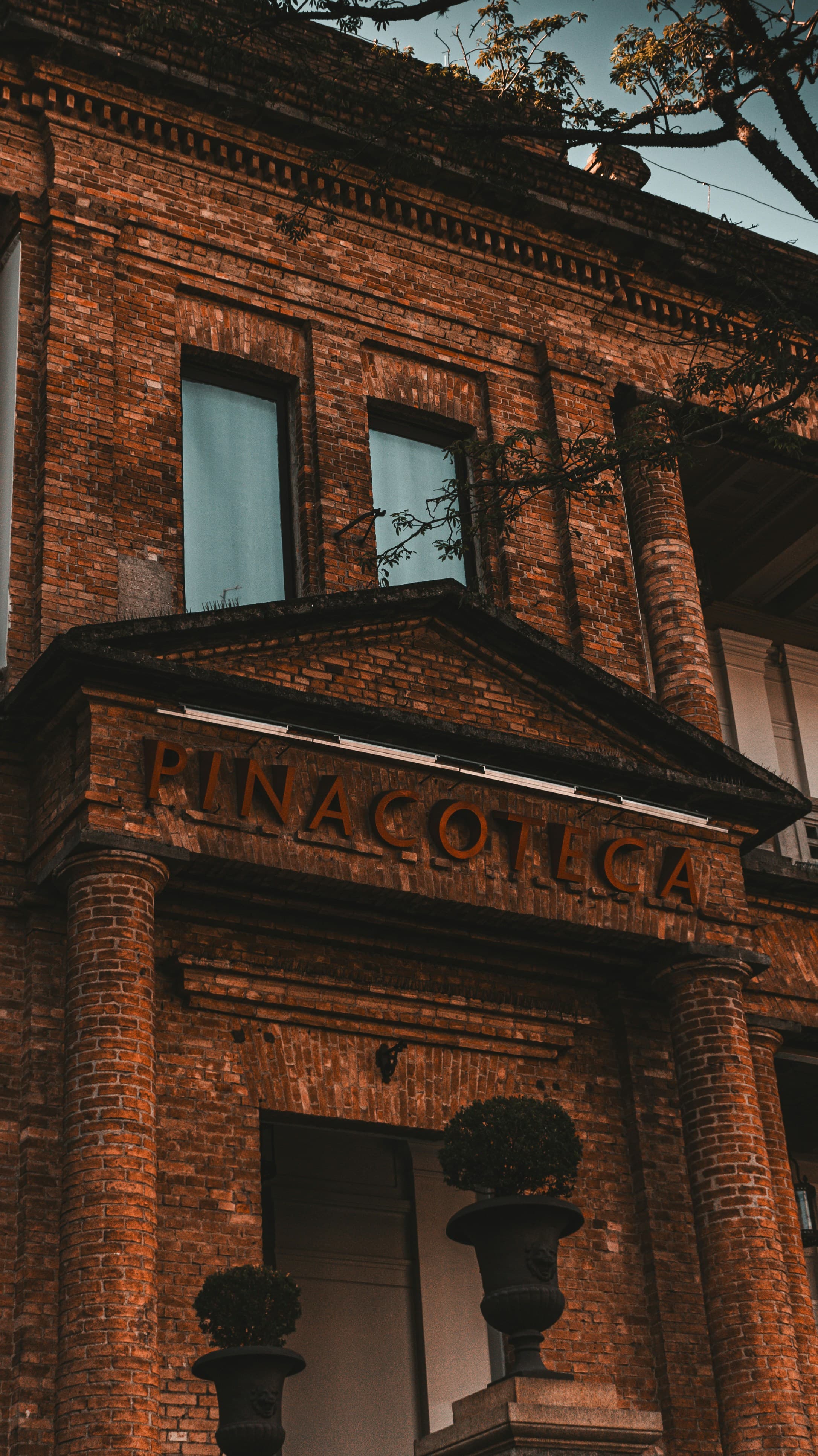Pinacoteca do Estado de São Paulo, image 1 of 1