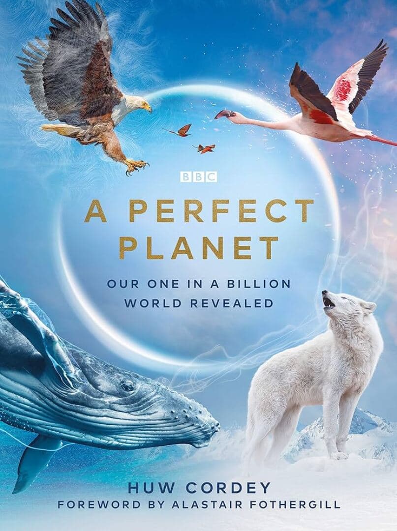A Perfect Planet, image 1 of 1