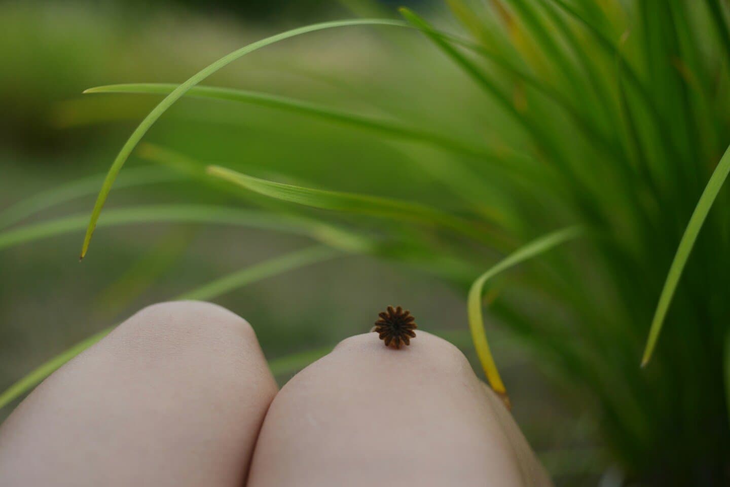 Small Things Like These, image 1 of 1