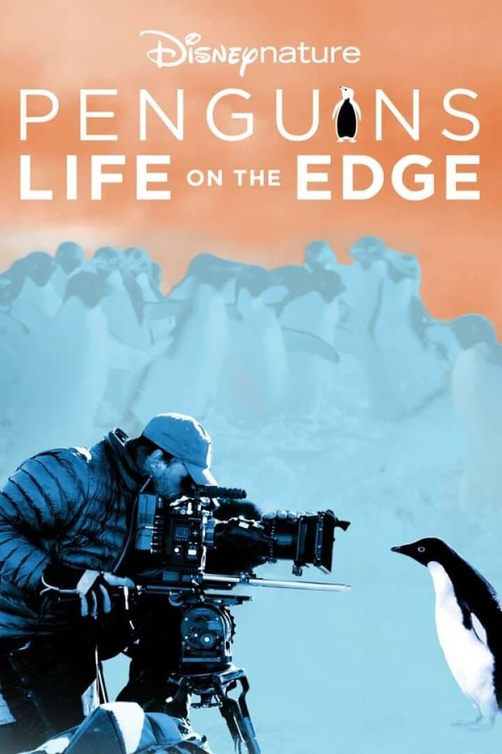 Penguins: Life on the Edge, image 1 of 1