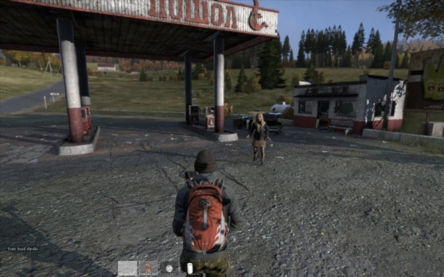 DayZ, image 1 of 1