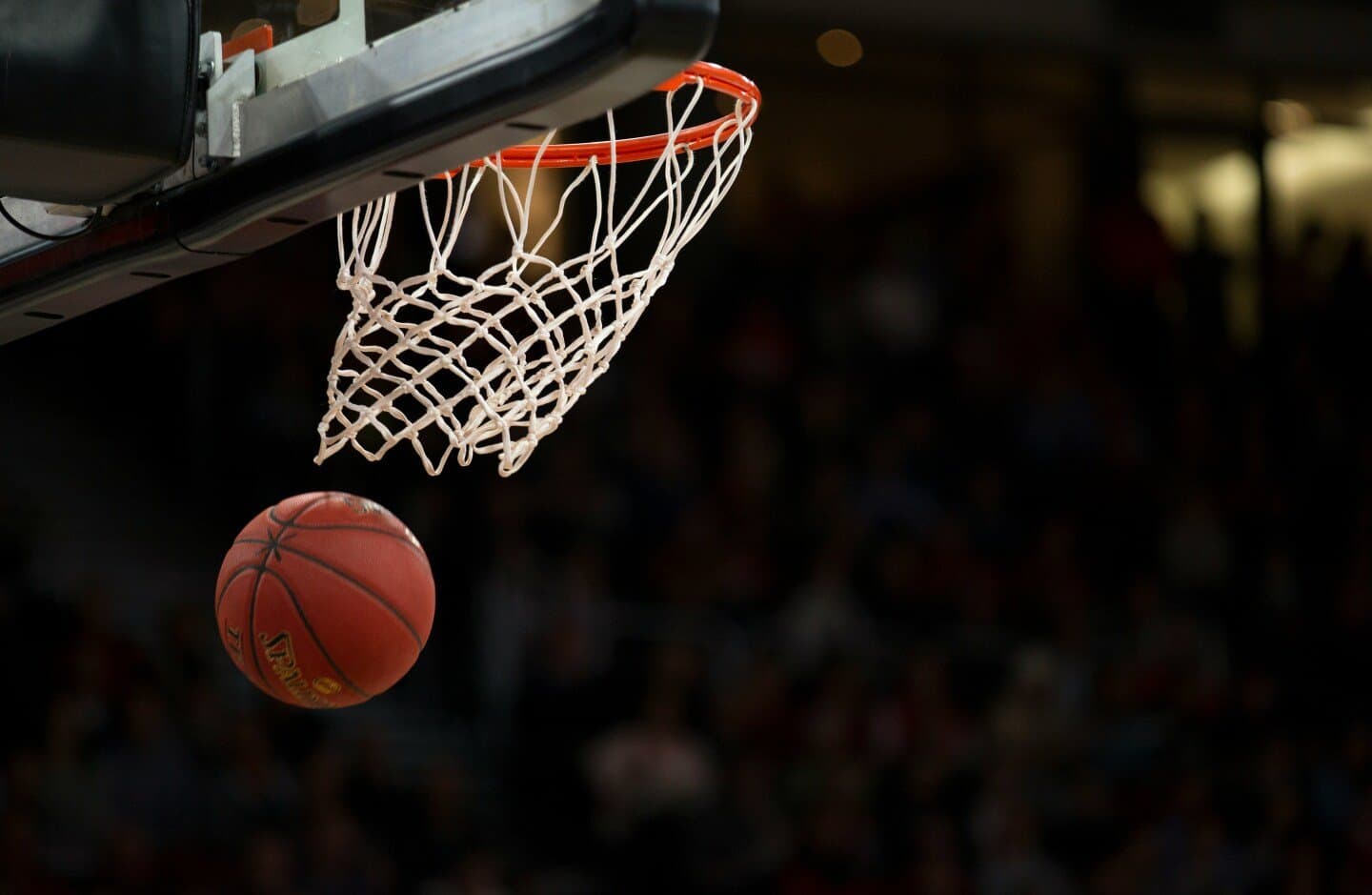 Efficiency and Frequency of the Pick-and-Roll in Professional Basketball, image 1 of 1